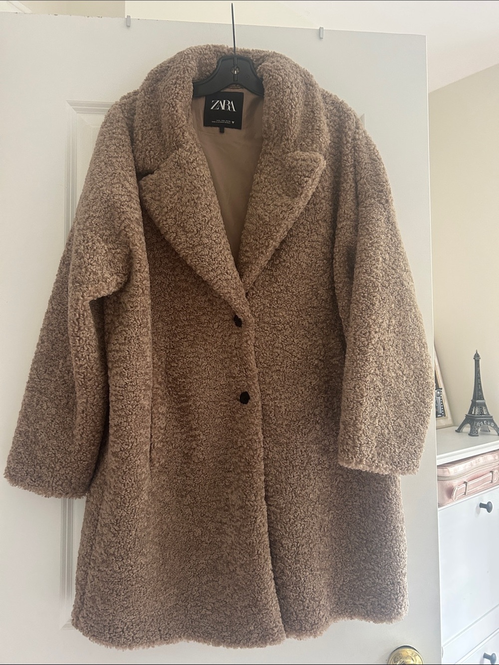 ZARA Brown Taupe Teddy Coat - Women's Single-Button Plush Jacket